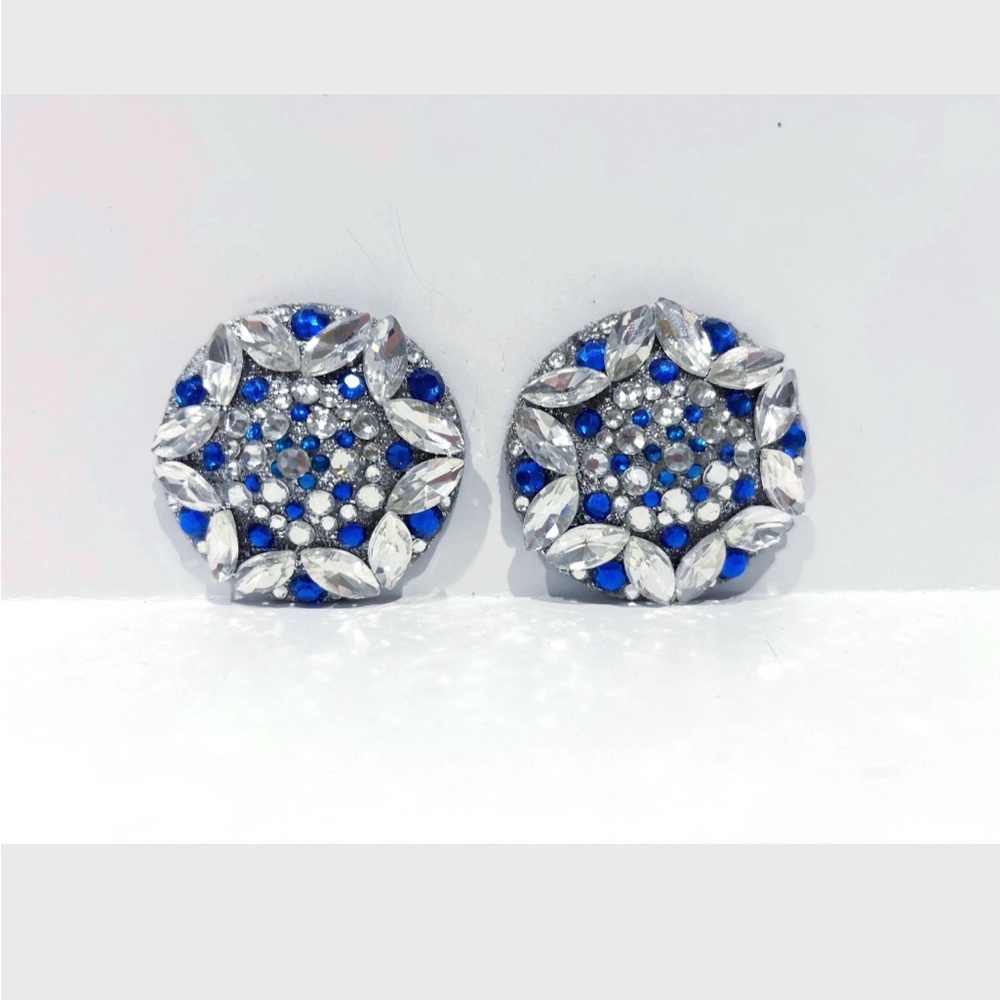 Elegant Silver and Blue Pasties